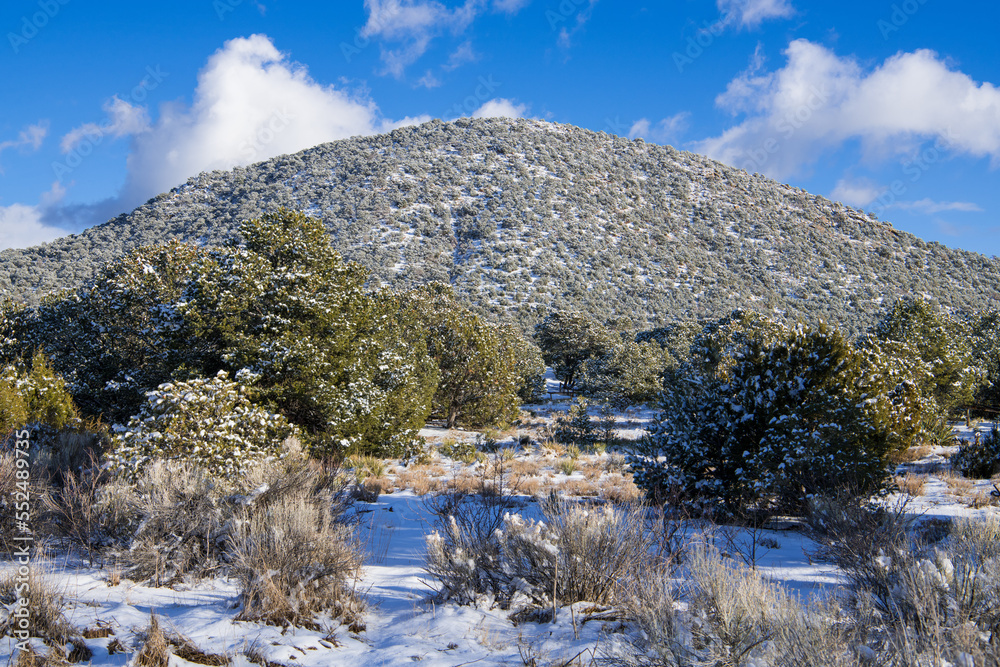 Winter scene of snow-covered trees and mountain - Sun Mountain in Santa Fe, New Mexico