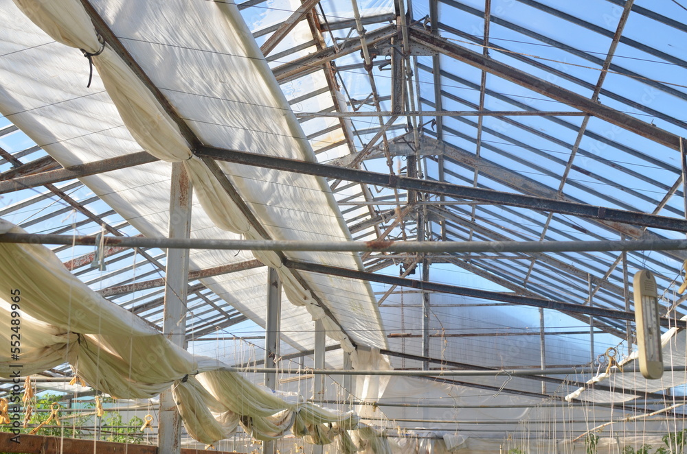 Greenhouse roof on a sunny day.With open curtains. ビニールハウス