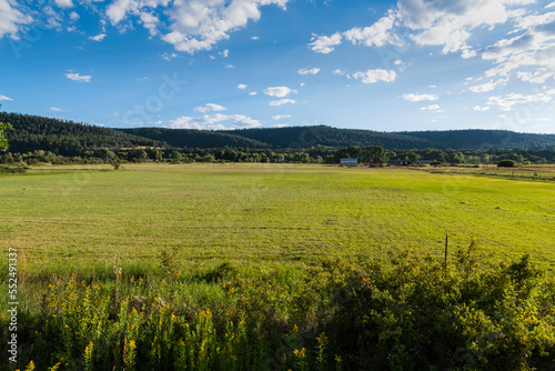 Grassy fields of a ranch in northern New Mexico