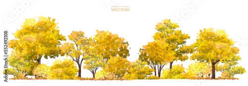 Vector watercolor blooming flower tree or forest side view isolated on white background for landscape and architecture drawing,elements for environment and garden,botanical for section in autumn   