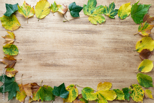 Thanksgiving background with autumn leaves on a light wooden table