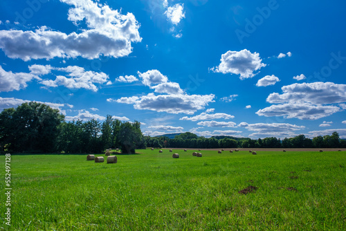 Rolls haystacks straw on field, harvesting wheat. Rural field with bales of hay. Landscape © Igor Syrbu