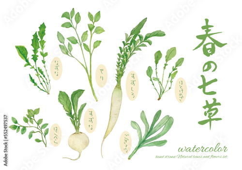 水彩で描いた春の七草