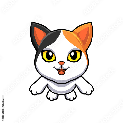 Cute japanese bobtail cat cartoon 