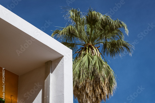 Palm tree and corner of a modern concrete building with orange wall