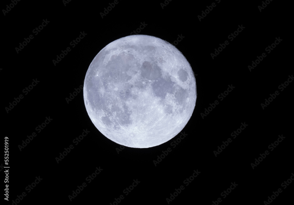 Obraz premium 満月の夜