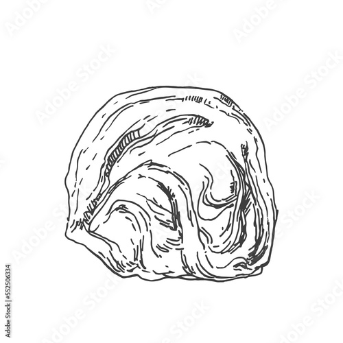 Hand drawn vector pismaniye illustration. Sweet Turkish cotton candy. Traditional oriental sweet dessert, white sugar helva, halva. Template for menu, design, ad