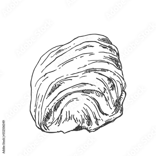 Hand drawn vector pismaniye illustration. Sweet Turkish cotton candy. Traditional oriental sweet dessert, white sugar helva, halva. Template for menu, design, ad