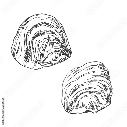 Hand drawn vector pismaniye illustration. Sweet Turkish cotton candy. Traditional oriental sweet dessert, white sugar helva, halva. Template for menu, design, ad