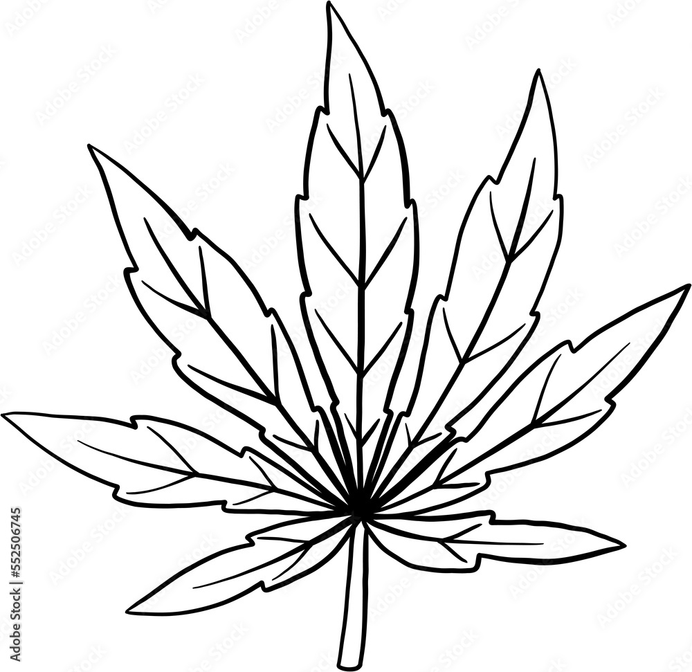 cannabis leaf freehand drawing.