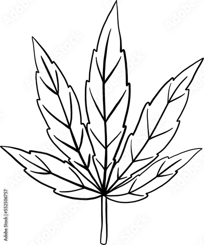 cannabis leaf freehand drawing. © tanarch