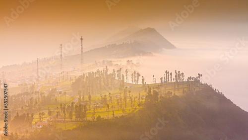 Fog covering the mountain forests during sunrise/