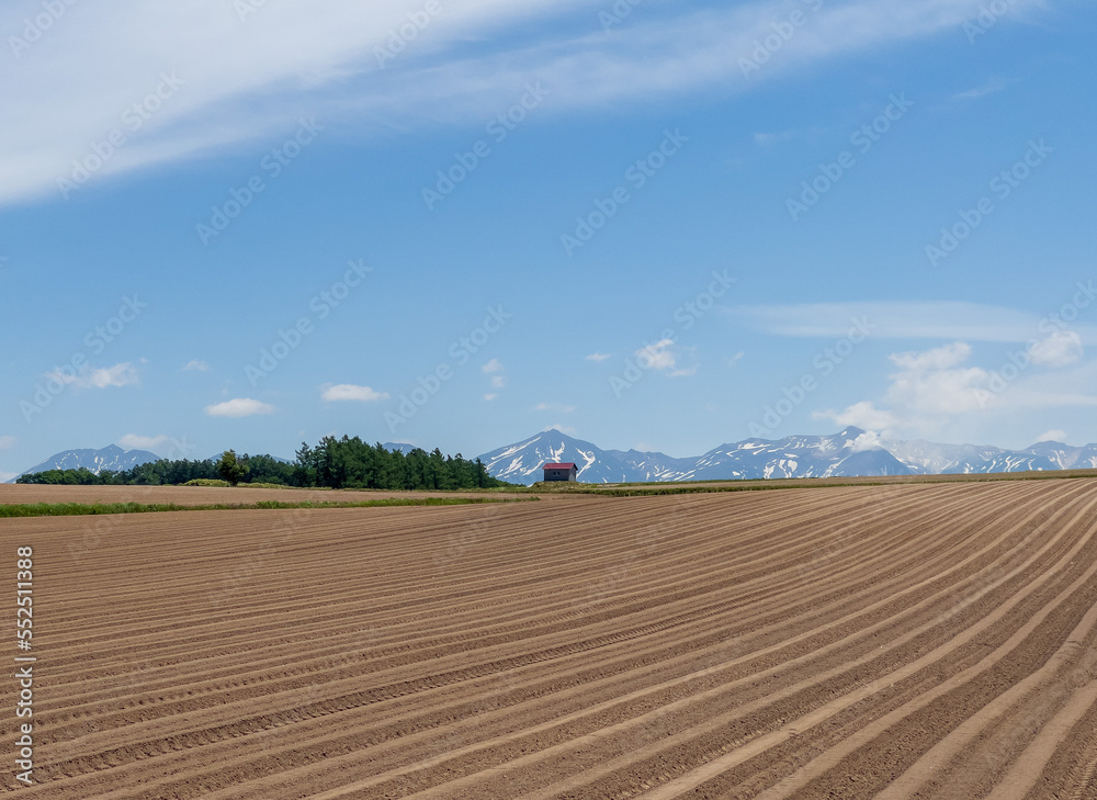 A spring field with regular striped patterns A spring field with regular striped patterns