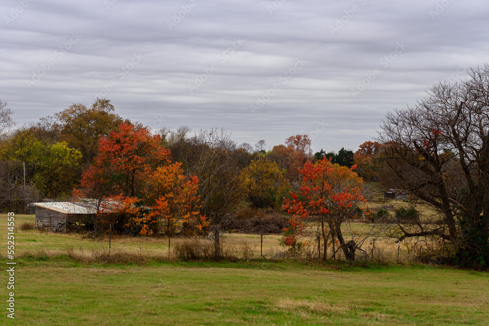 Shed In A Field With Fall Colors-6664