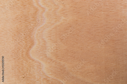 Light rough textured cut surface of an African tree. Wood background or blank for design photo