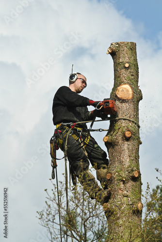 Woodcutter in action in denmark