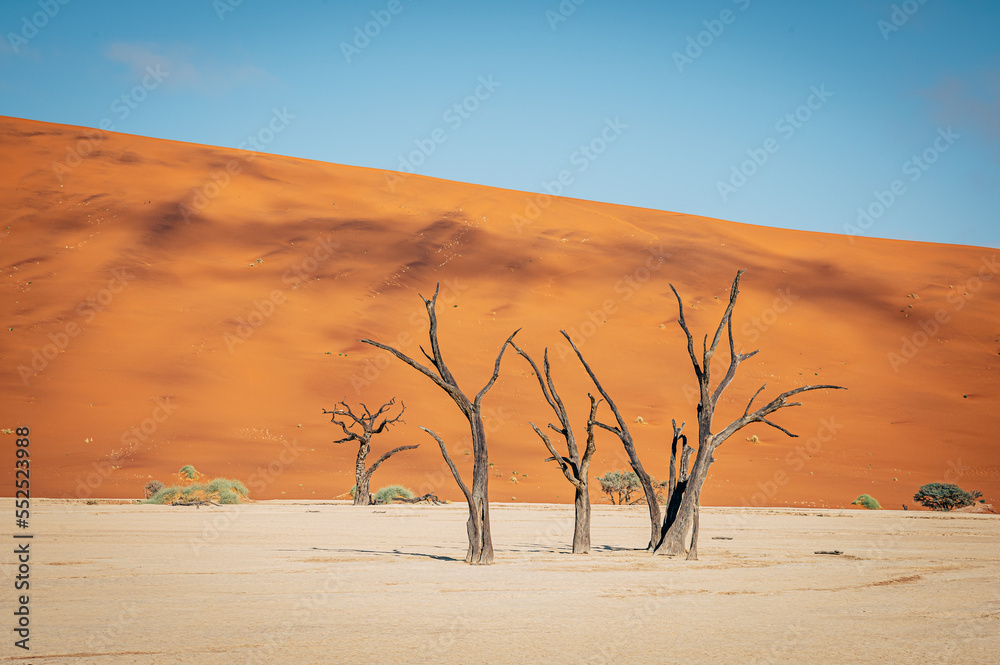 Tote Bäume im Deadvlei (Sossusvlei, Namibia) Tote Bäume im Deadvlei (Sossusvlei, Namibia)