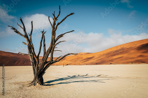 Tote Bäume im Deadvlei (Sossusvlei, Namibia)