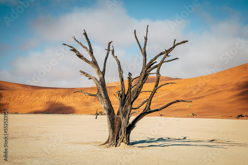 Tote Bäume im Deadvlei (Sossusvlei, Namibia) © Michael