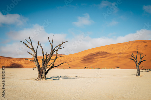 Tote Bäume im Deadvlei (Sossusvlei, Namibia)