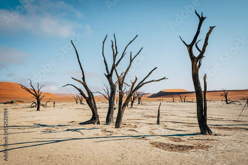 Tote B  ume im Deadvlei  Sossusvlei  Namibia 