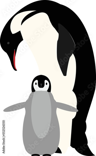 Penguin Vector image or illustration. cute penguin family
