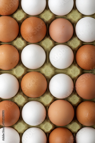 Close-up of eggs on a paperboard. photo