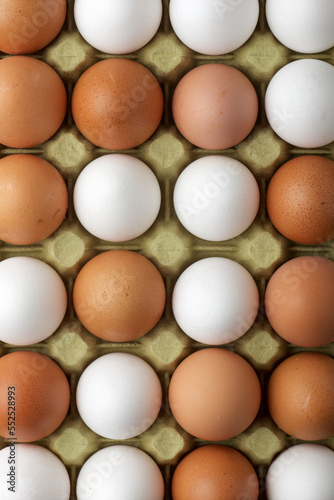 Close-up of eggs on a paperboard.