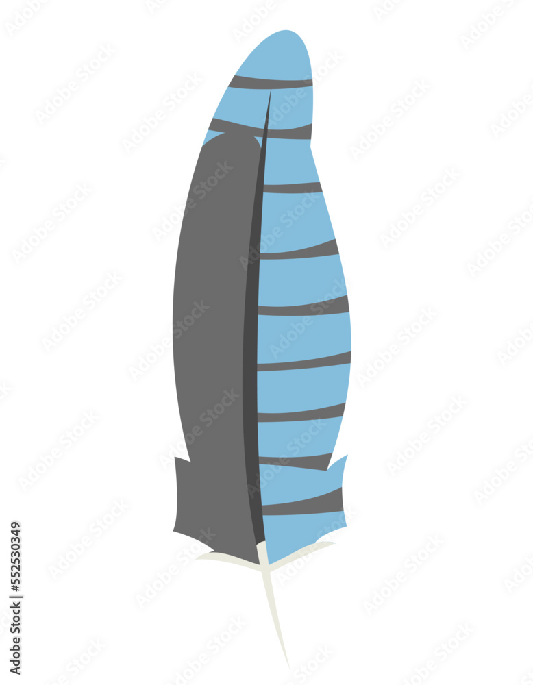 Blue jay feather in flat style. Beautiful design element. Blue jay feather in flat style. Beautiful design element.