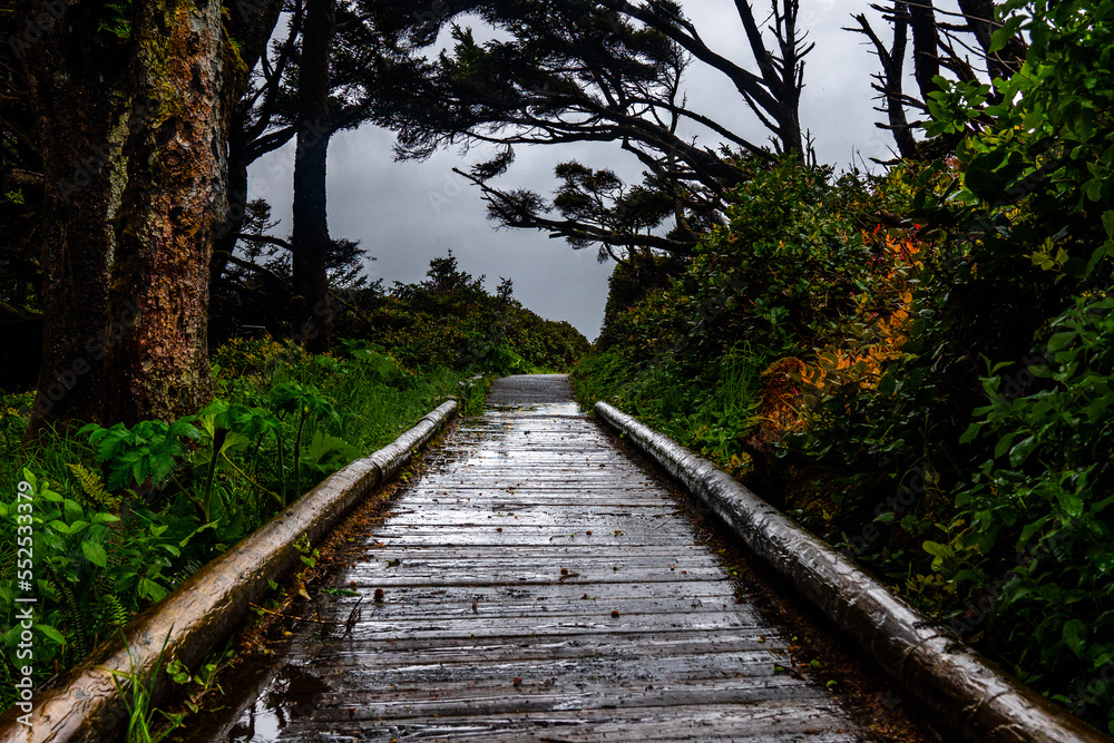 Foggy coastline. Pacific Northwest coast, Oregon. USA. Foggy coastline. Pacific Northwest coast, Oregon. USA.