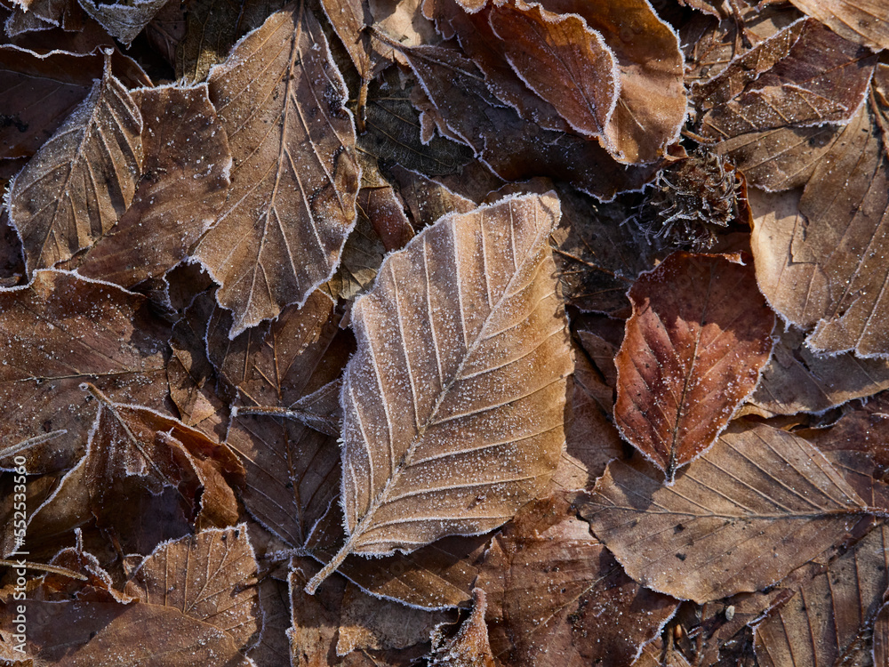 Tardo Autunno nel Parco Nazionale della Maiella Tardo Autunno nel Parco Nazionale della Maiella