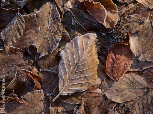 Tardo Autunno nel Parco Nazionale della Maiella