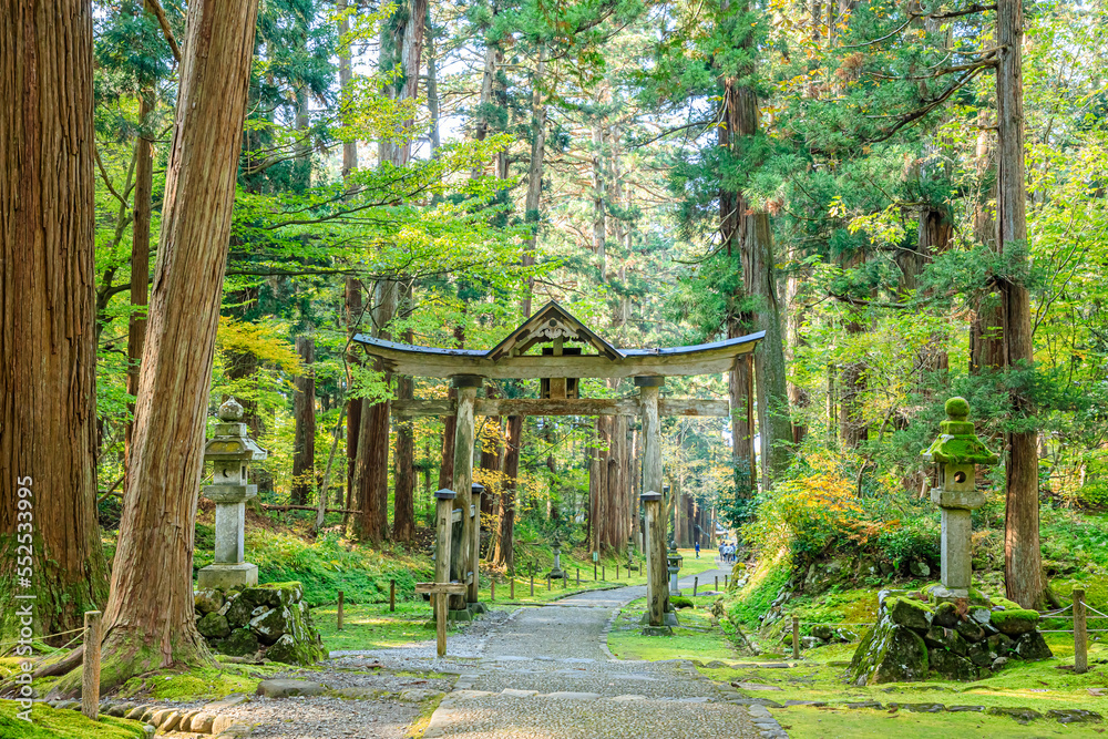 秋の平泉寺白山神社 福井県勝山市 Heisenji Hakusan Shrine in autumn. Fukui Prefecture, Katsuyama City. 秋の平泉寺白山神社 福井県勝山市 Heisenji Hakusan Shrine in autumn. Fukui Prefecture, Katsuyama City.
