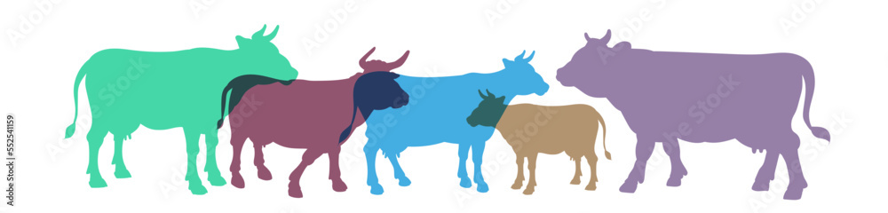 Fototapeta premium Cow, vector image, color drawing. Flat image, stamp, seal, icon, symbol.