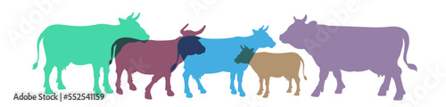 Cow, vector image, color drawing. Flat image, stamp, seal, icon, symbol.