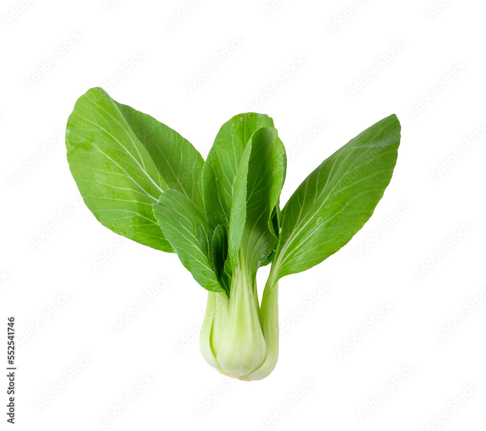 Bok choy vegetable isolated on transparent png Bok choy vegetable isolated on transparent png