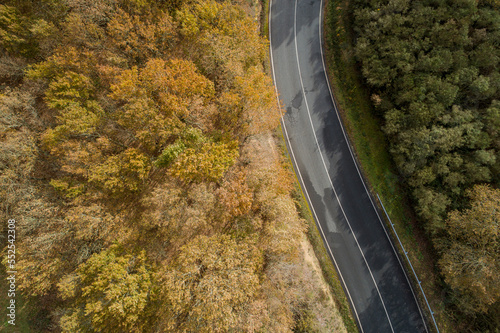 aerial view of a road and an oak forest in autumn