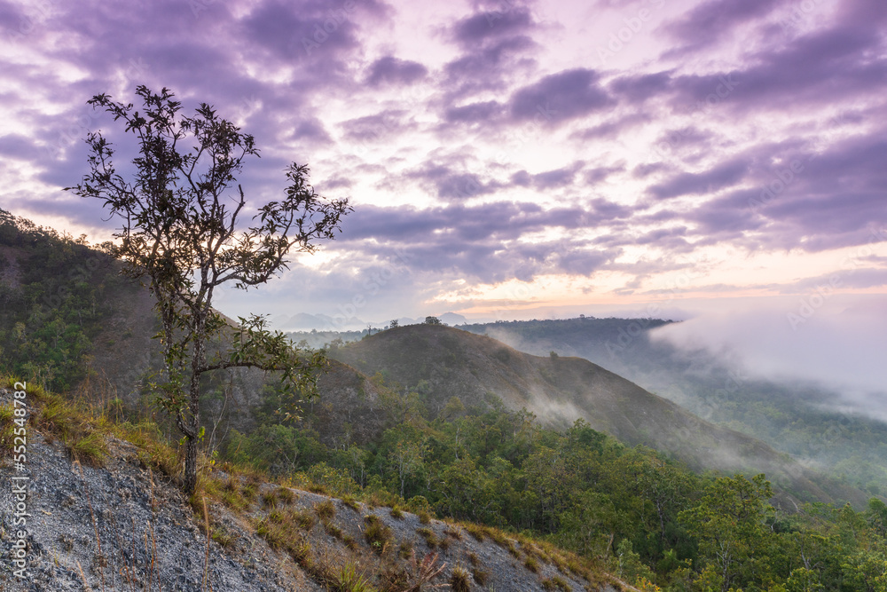Landscape on high mountain in Doi-hua-mod, tak province, Thailand. Landscape on high mountain in Doi-hua-mod, tak province, Thailand.