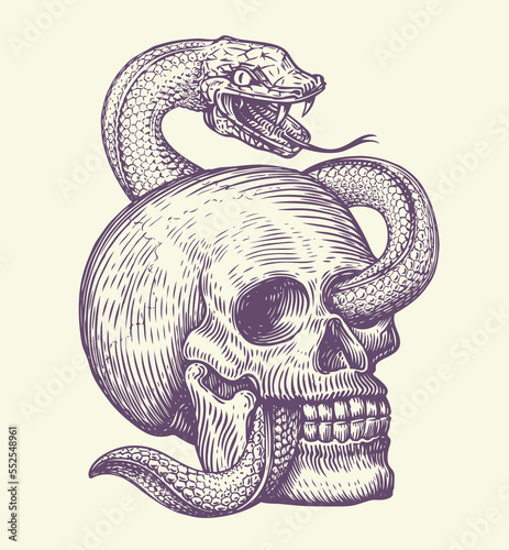 Human skull with crawling snake. Hand drawn sketch in vintage engraving style. Monochrome tattoo vector illustration
