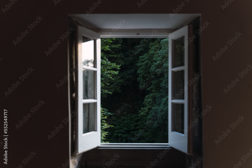 open window in a small house with the forest in the background open window in a small house with the forest in the background