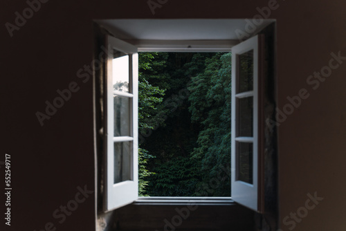 open window in a small house with the forest in the background