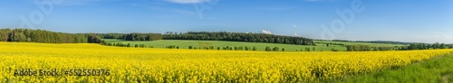 panorama view of landscape with yellow rape field  meadows and forests