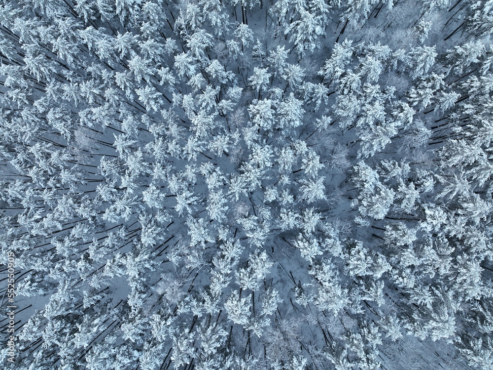 default default