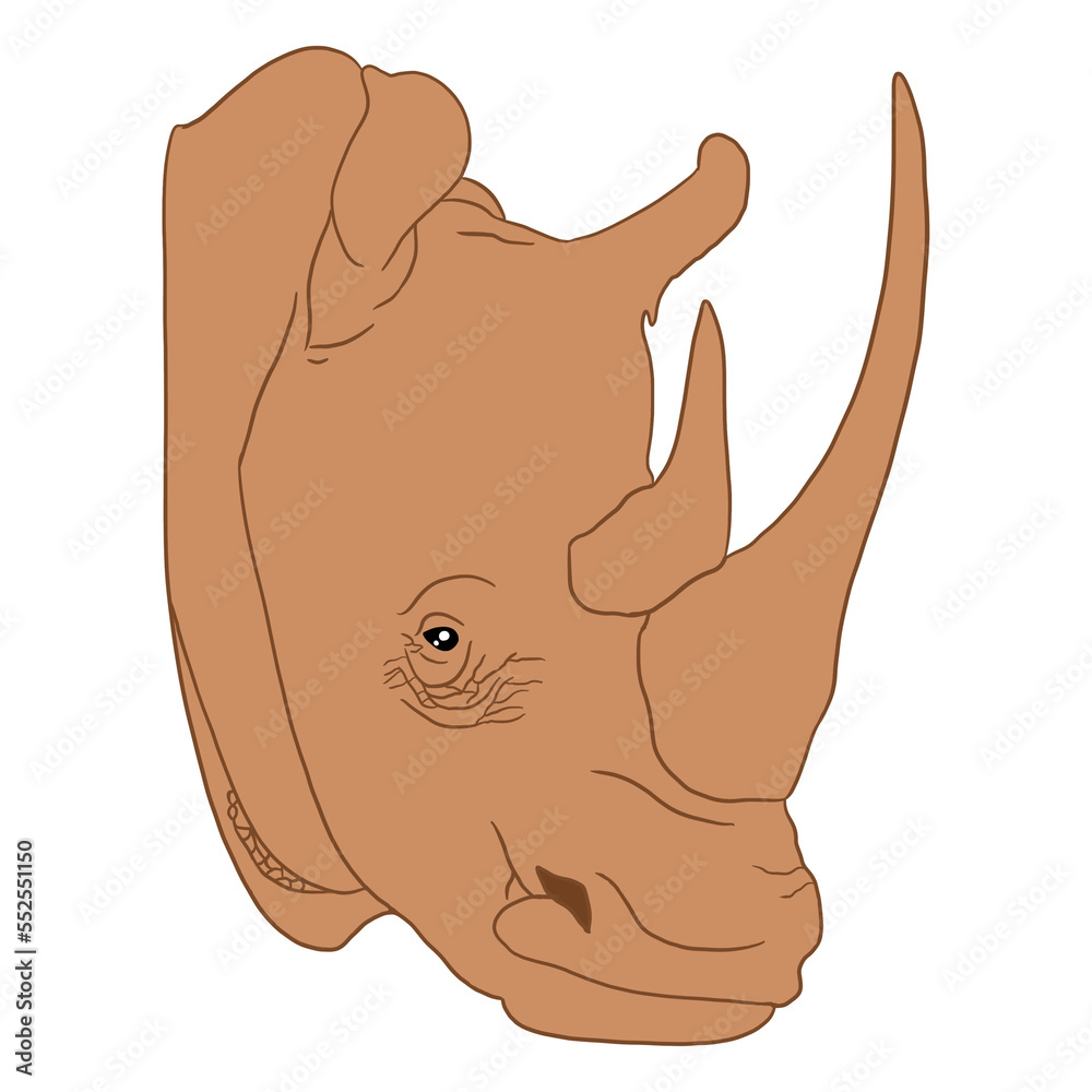 Fototapeta premium Cute Rhino Face