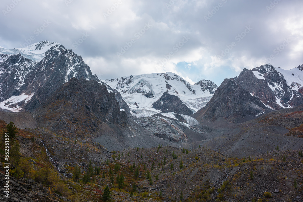 Dramatic view from hills with trees to large snow mountain range with glacier and icefall in cloudy sky. High snowy mountains under rainy clouds. Fading autumn colors in mountains in overcast weather.