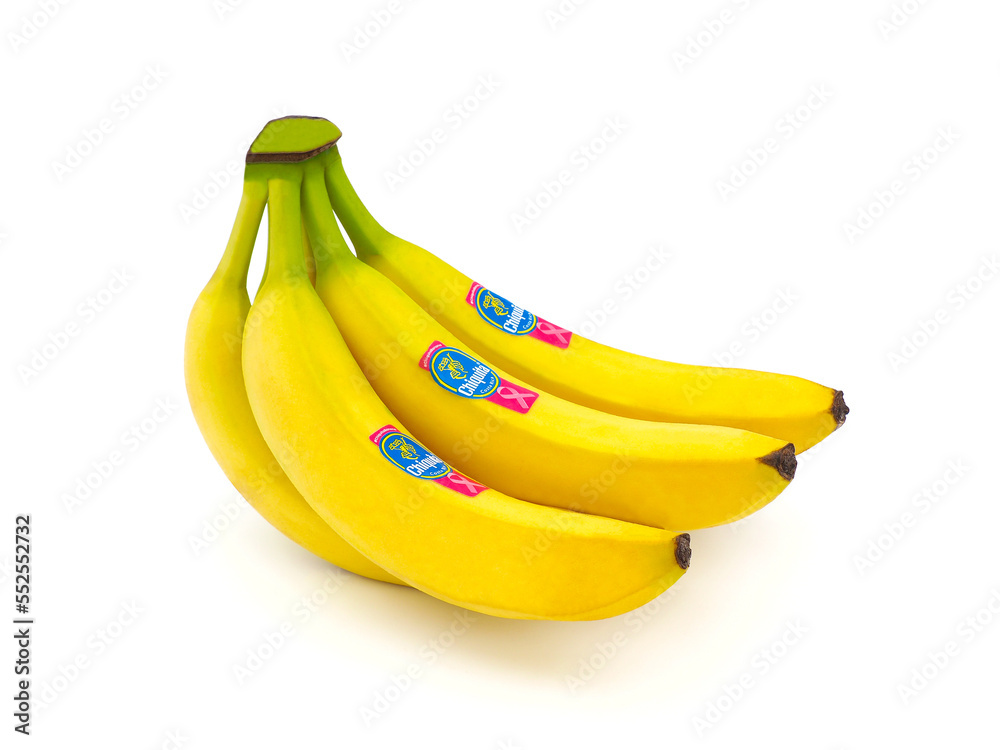 ROME, ITALY DECEMBER 9, 2022. Bunch of Chiquita bananas isolated on