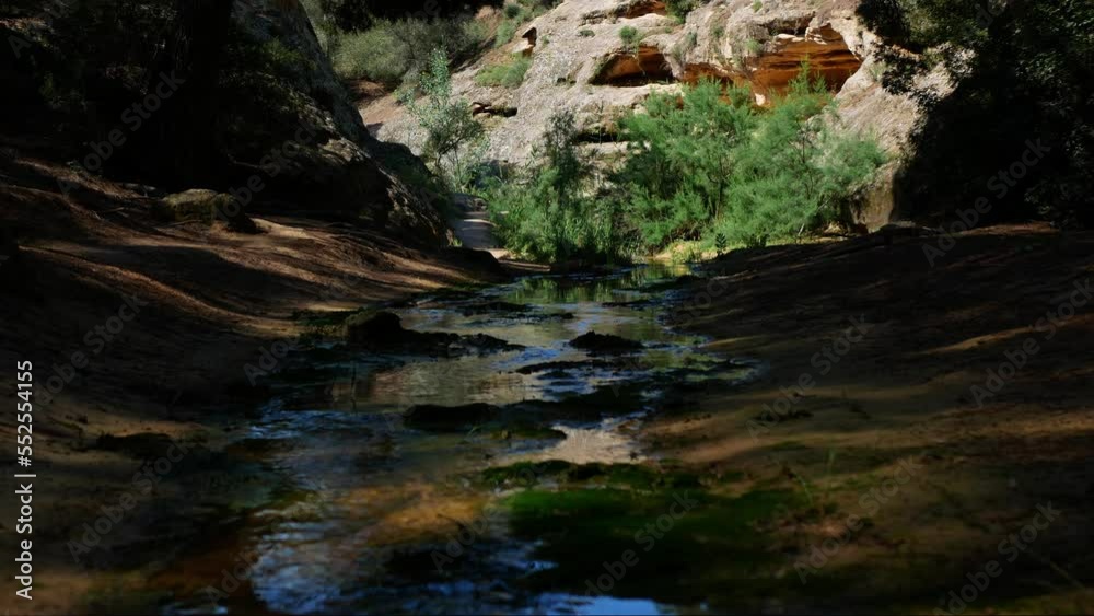 Shady creek bed with water flowing down the mountain forest - static view Shady creek bed with water flowing down the mountain forest - static view