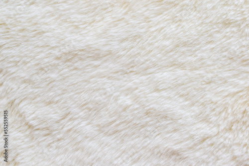 Cream white wool texture, abstract fur background
