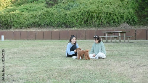 Family playing with a ball and a toy poodle 