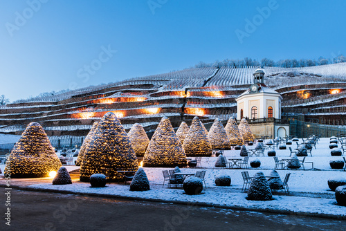 Weihnachtliche Stimmung im Park Schloss Wackerbarth, Radebeul